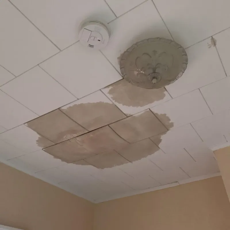 Ceiling Water Damage Repair in Potter County, PA