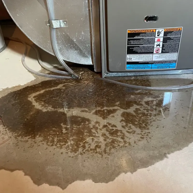 Pipe Burst and Leak Restoration in Potter County, PA