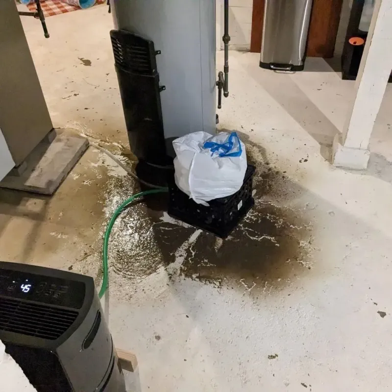 Sewage Backup Cleanup Service in Potter County, PA